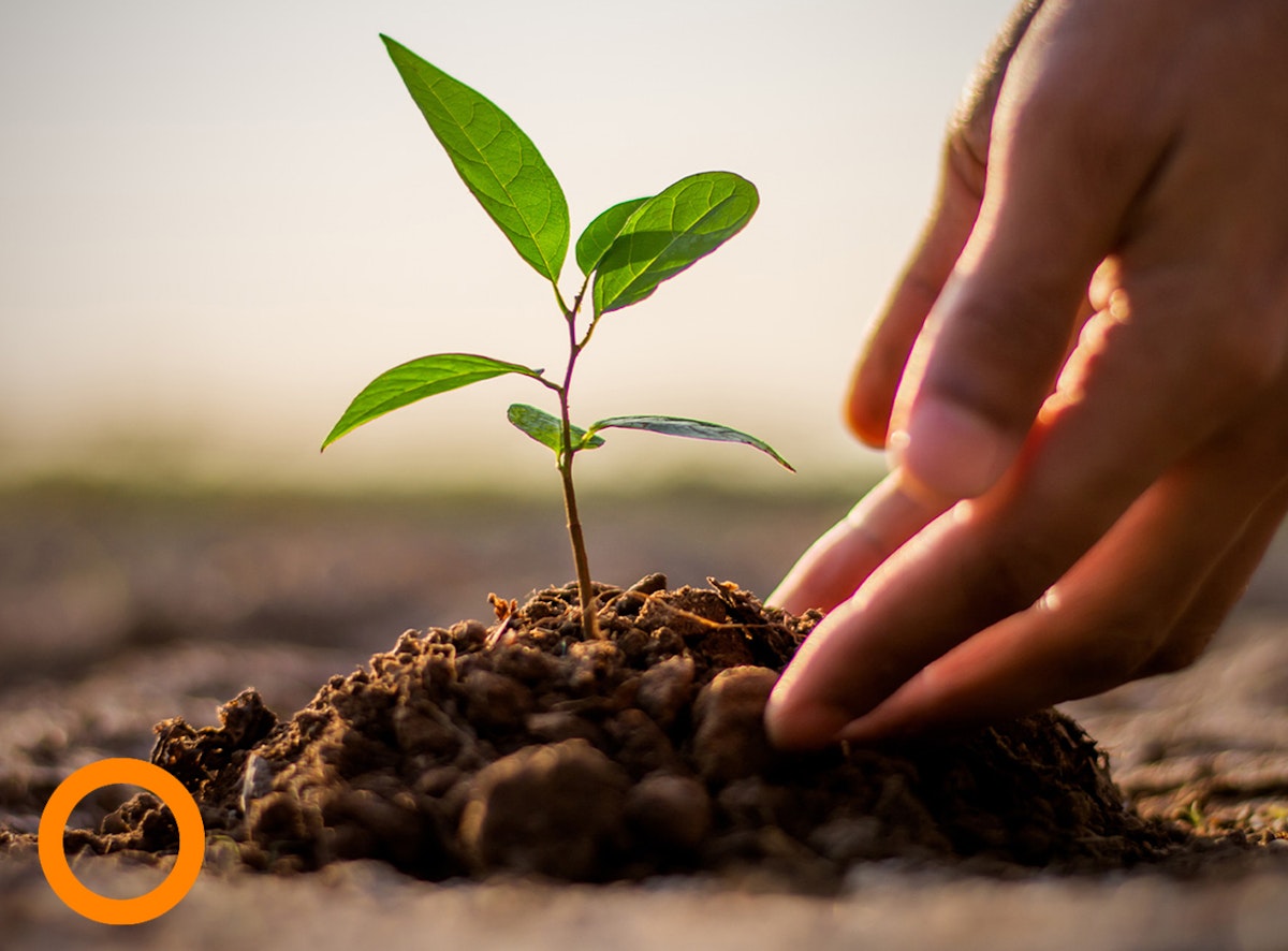 8 Tipps, um der Umwelt heute zu helfen