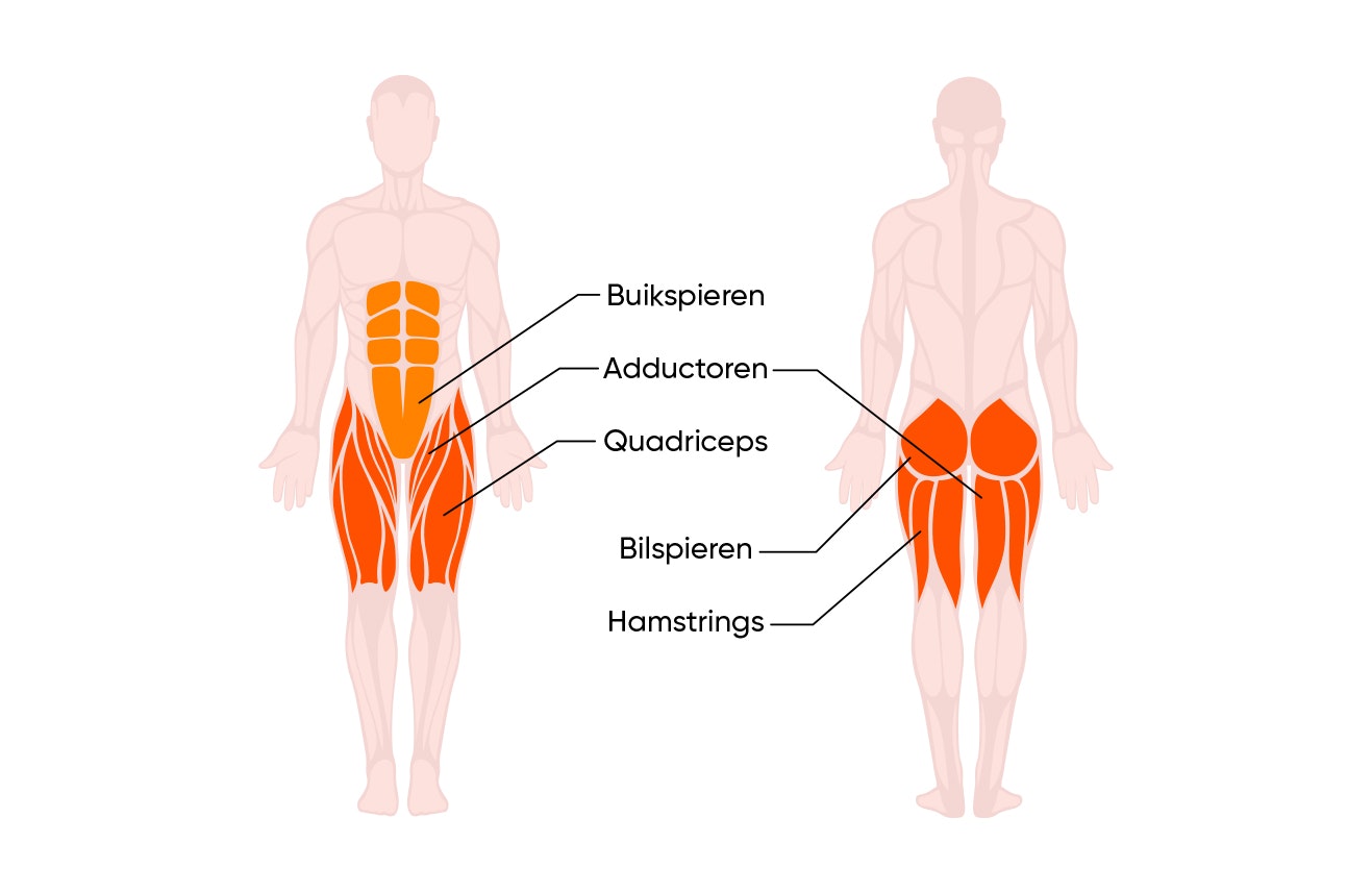 spieren sumo squat