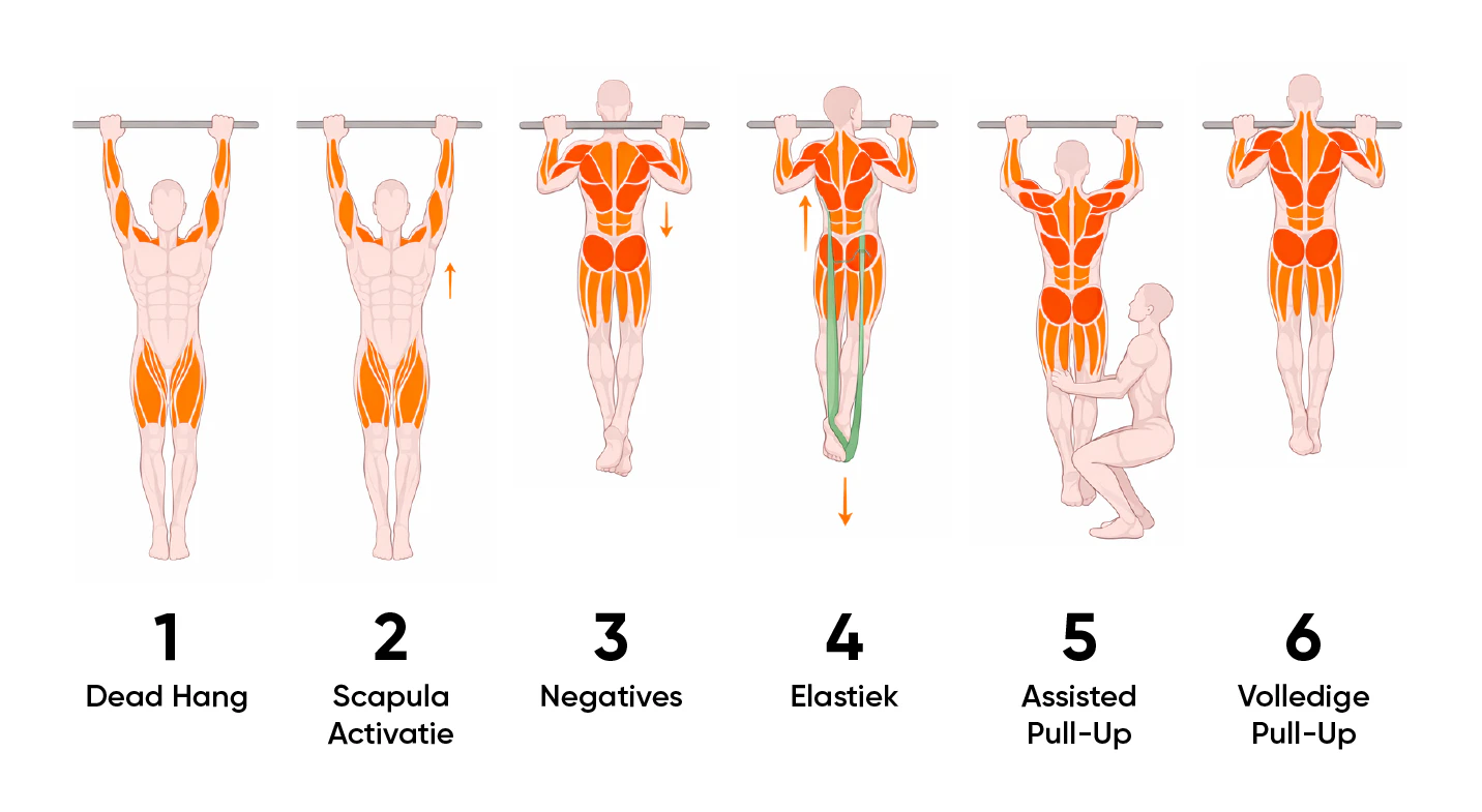 "stap-voor-stap trainingsplan voor het leren van pull-ups"