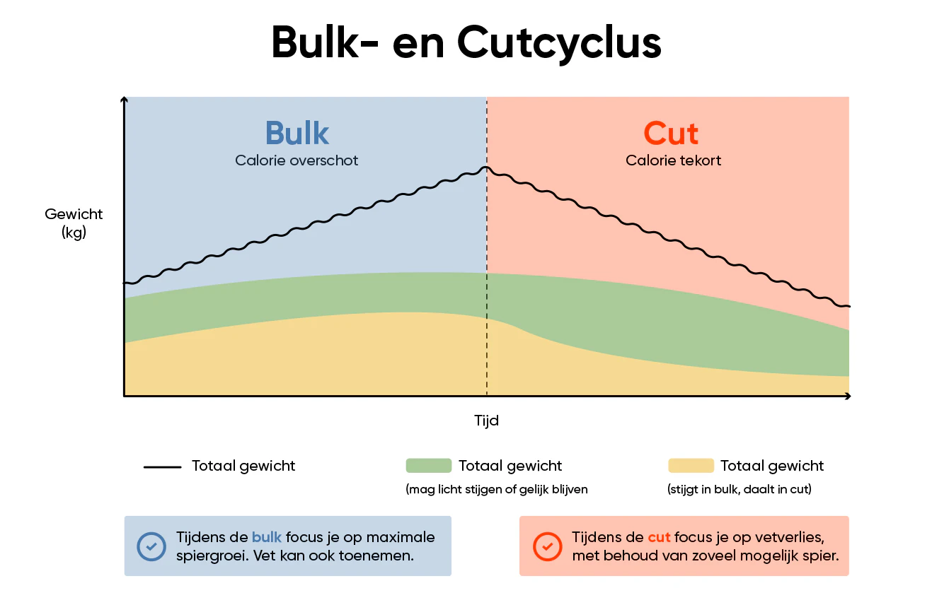 Schema bulken en cutten met verloop van spiermassa en vetpercentage